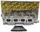 Toyota 1.8 DOHC 1ZZ-FE VVT Cylinder Head Corolla MR2 Celica 2000 - 2005 w/ Head Gasket Set & Head Bolts